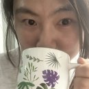 산골에꿈영농조합법인 | 산골에꿈 국산 100% 유기농 솔잎분말로 솔잎차만들기