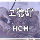 녹양동물병원 이미지