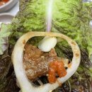 토실배기 이미지
