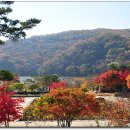 희원