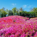 8단지입구사거리(철쭉동산쪽) 네이버블로그