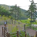 백두종합목재(주) | 공립 선암 자연휴양림 (전라북도)