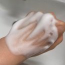 연꽃향기 | 핸드워시답례품으로 좋은 바디브 퍼퓸 손 세정제 향기 좋은 선물 후기