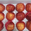 달사과마을 이미지