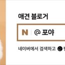 댕블댕블 네이버블로그
