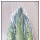 주식회사 올본 이미지