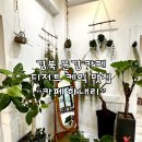 [경북 문경 카페] “카페 하내리”