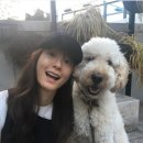 러블리 멍멍이 이미지