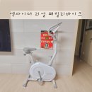 홈트 유산소 운동기구 온가족 집 가정용 실내 자전거 엑사이더 리얼 패밀리바이크 후기