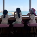 해양수산 과학원 ~ 어성교 | 부산 기장 아이와 국립 수산과학원 수산과학관(걸어서 해동용궁사)