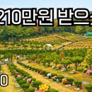 청솔문구
