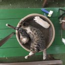 태훈농장 이미지