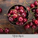 93푸드 이미지
