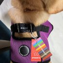 AH 소프트 이미지