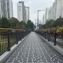 내정로 | 분당 정자동 러브멜로딩 주문제작 케이크 골프스윙 골프장 케이크 구매 후기