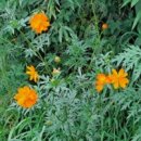 무주읍183 이미지