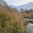 이명은 농장 이미지