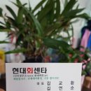 부석회센타 이미지