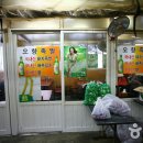 오향족발 Daum카페
