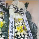장지훈장 이미지