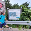 창선면사무소 이미지