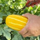 무지개빛농장 이미지