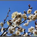 원동농장 이미지