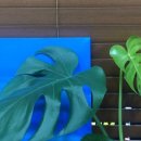 맑은하늘정형외과의원 이미지