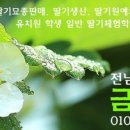 평동서초등학교 이미지