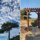 송라아쿠아 이미지