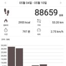 달서구청소년수련관 | 🚶‍♀️매일걷기 304주차🚶‍♀️