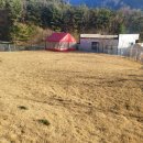 농업회사 법인 주식회사 은강 | 밀양 얼음골 사과 펜션 농업회사법인 주식회사 하나팜 리얼 후기