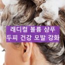 파모나 래디컬 볼륨 샴푸 사용 방법과 사용 후기