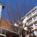 동평여자중학교 이미지