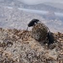 황성농장 이미지