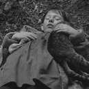 (주)레드붐 이미지