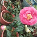 유원농장 이미지