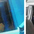 제주활어 이미지