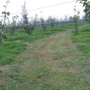 부춘농장 이미지