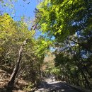 [4편] 2025년11월3일 월요일 경희대학교 교정을 다녀와서! 이미지