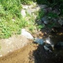 칠현산 숲거리 이미지