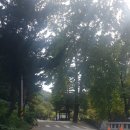 완산-134 네이버블로그
