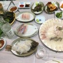동해바다 자연산 | 고성 찐맛집 동해활어자연산전문점 내돈내산 후기