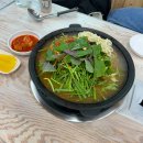 텃밭에노는닭 이미지