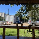 서포비치 이미지