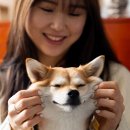 람쥐야 도토리 이미지