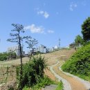 샛터근린공원 이미지