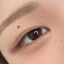 씨유포남뷰티점 | 강릉속눈썹펌 후기 👀 포남동 뷰티샵 후후스튜디오
