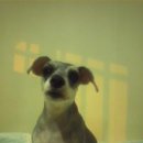 상봉2동 (3) 이미지