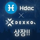 덱스코 전자신문